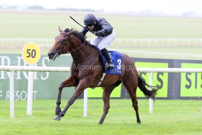 The Curragh 23/08/25