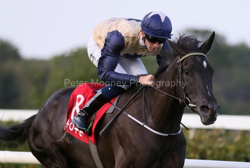 Leopardstown 21/08/25