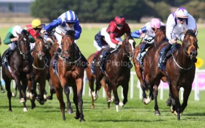 Naas 04/08/25