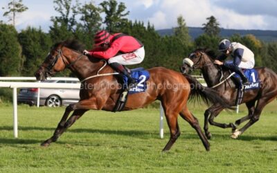 Gowran Park 13/08/25