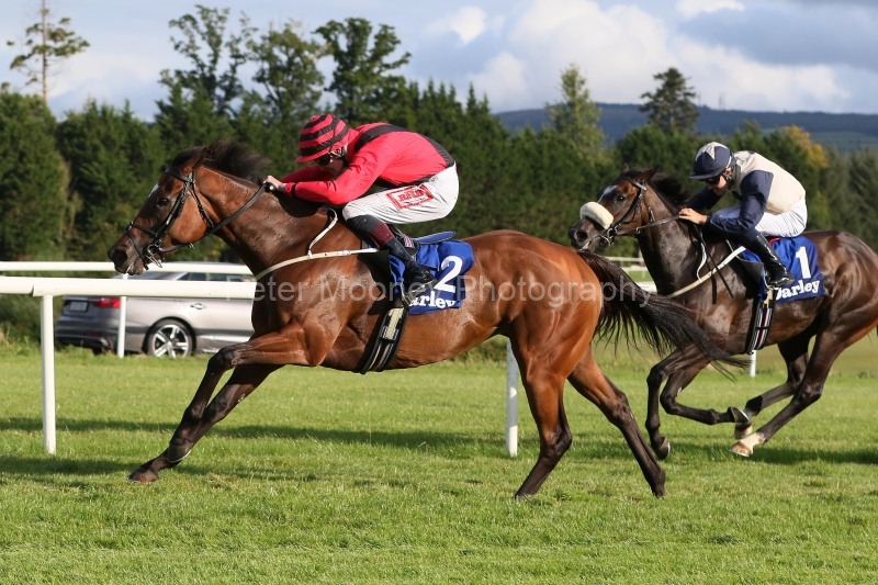 Gowran Park 13/08/25