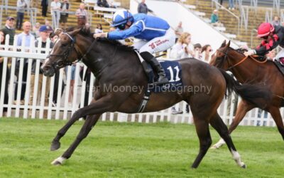 Naas 24/08/25