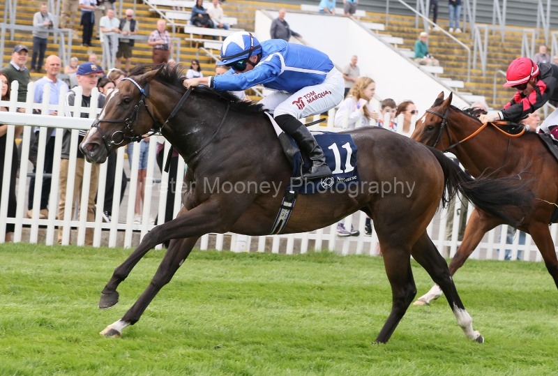Naas 24/08/25