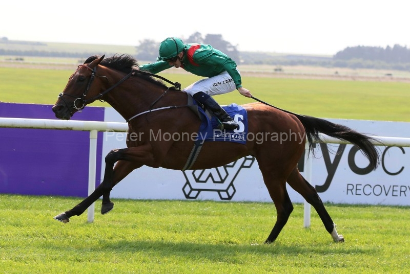 The Curragh 16/08/25
