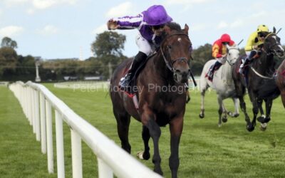 Leopardstown 13/09/25
