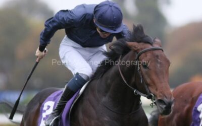 Leopardstown 18/10/25