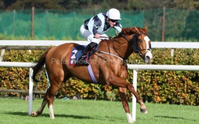 Leopardstown 19/10/25