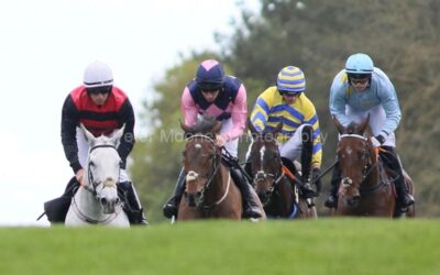 Punchestown 02/05/25