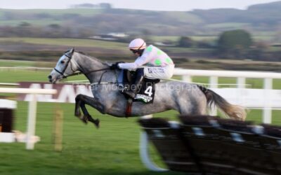 Punchestown 22/11/25