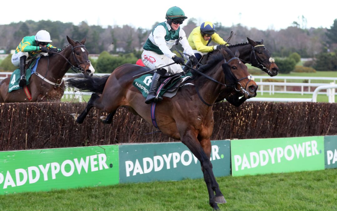 Solness Paddy's Rewards Club 'chase.