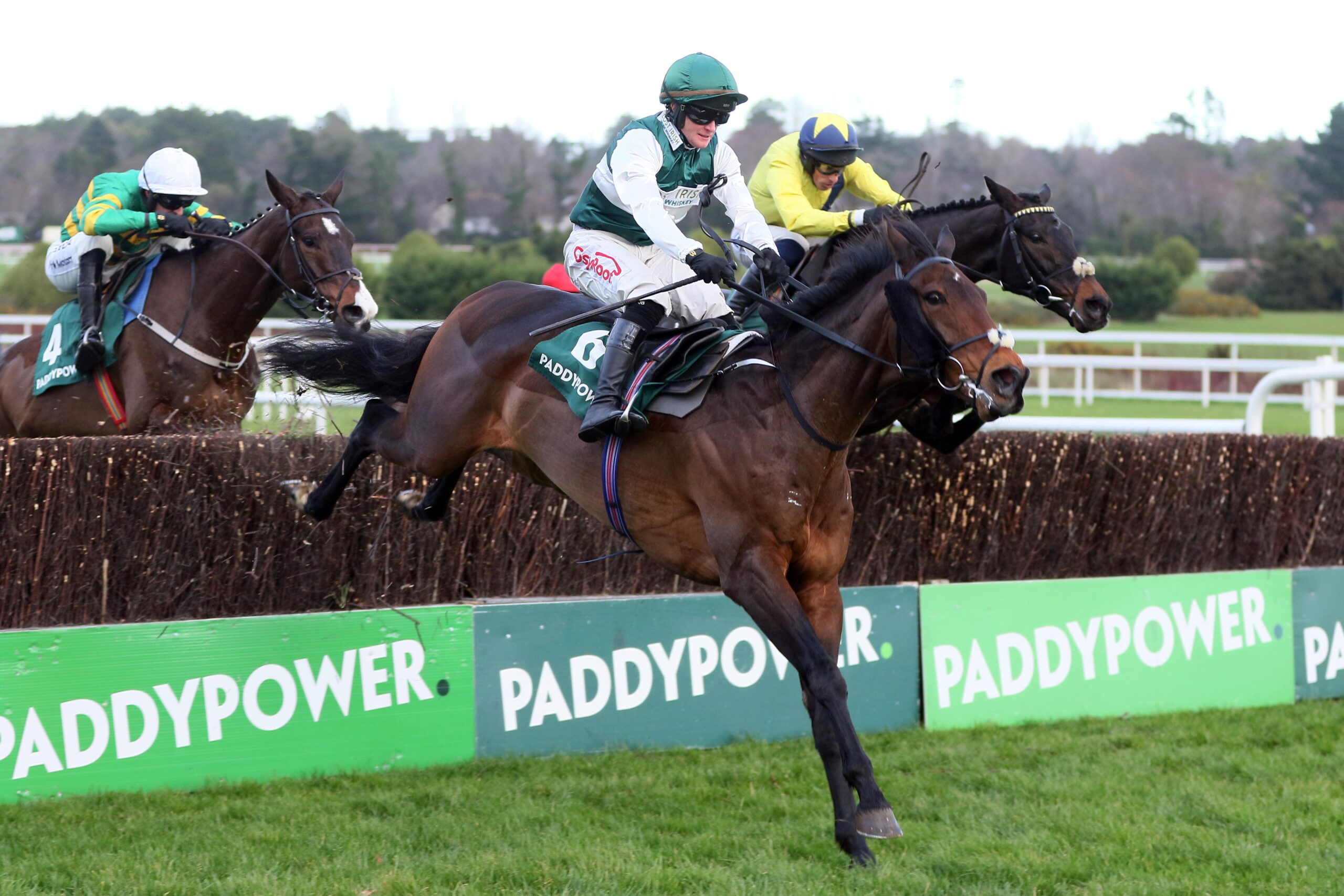 Solness Paddy's Rewards Club 'chase.