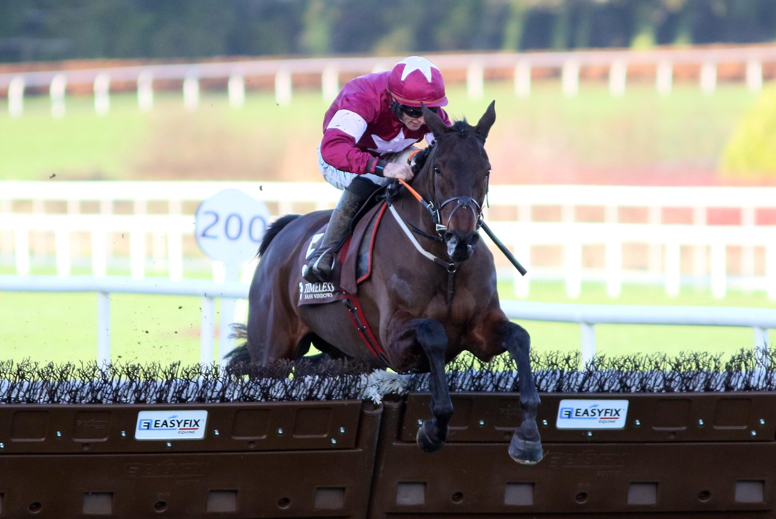 Leopardstown 01/02/26