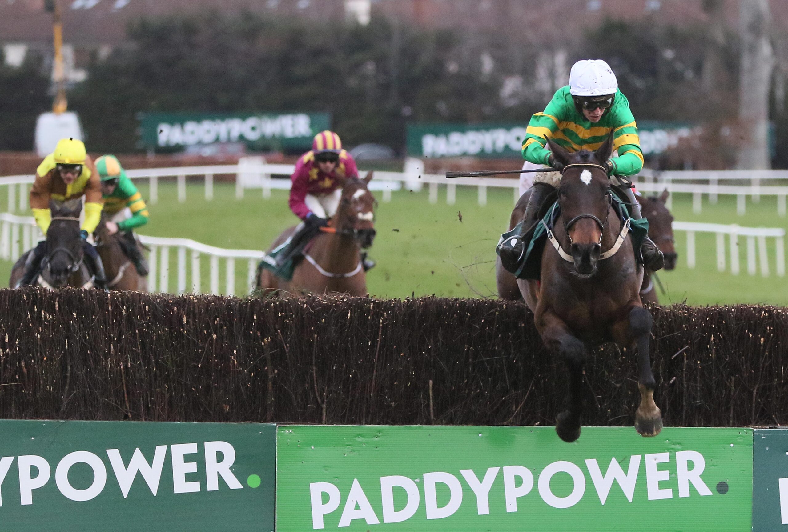 Fact To File Irish Gold Cup.