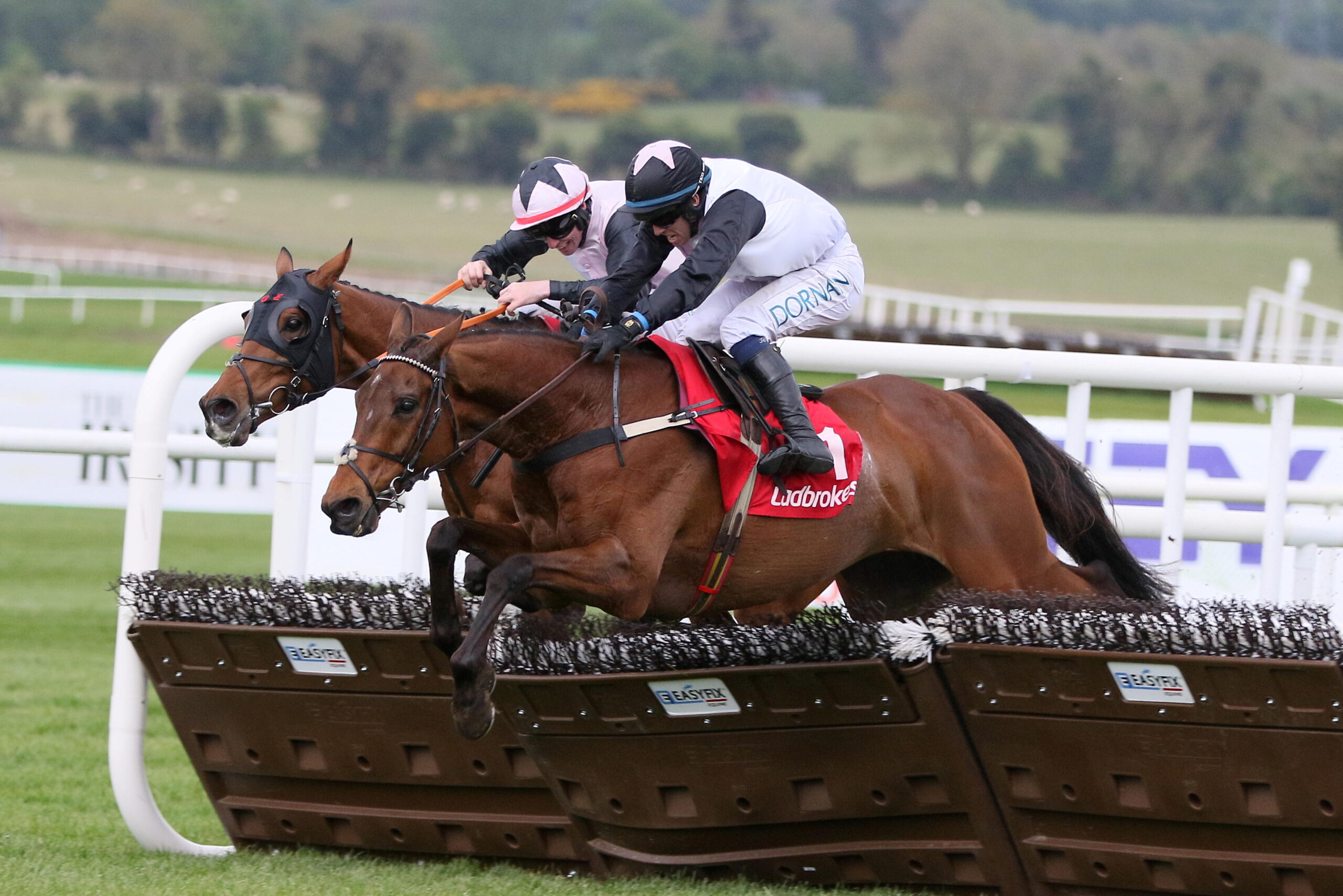 Bob Olinger Punchestown.
