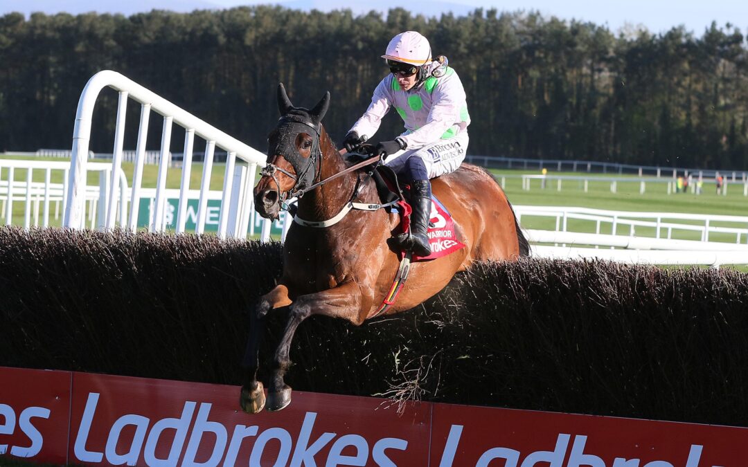 Gaelic Warrior Punchestown.