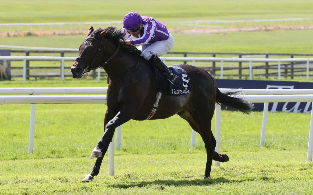 Gstaad Irish 2,000 Guineas.