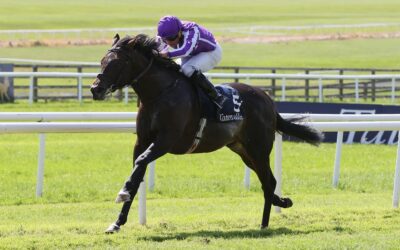The Curragh 23/05/26