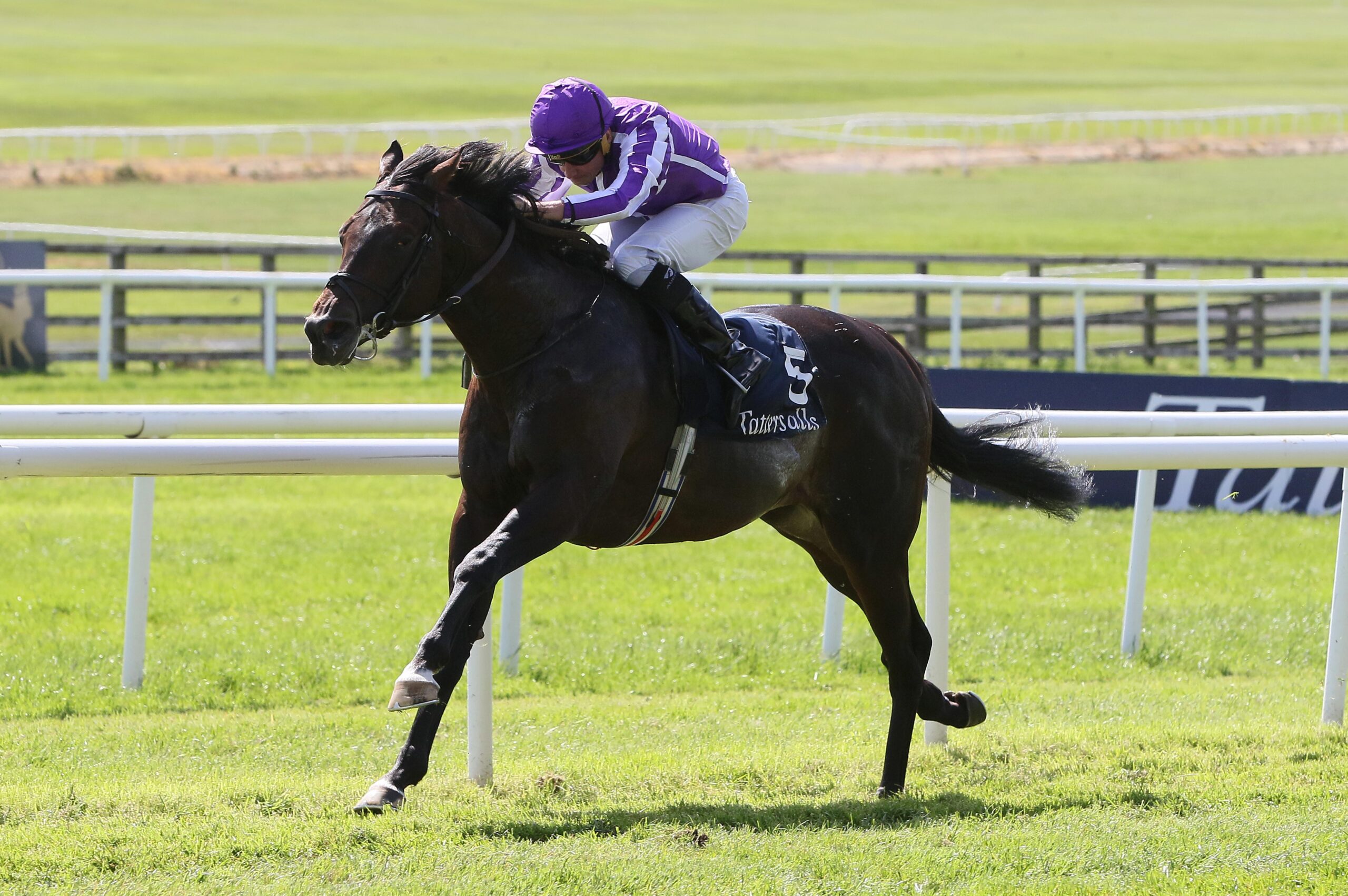 Gstaad Irish 2,000 Guineas.