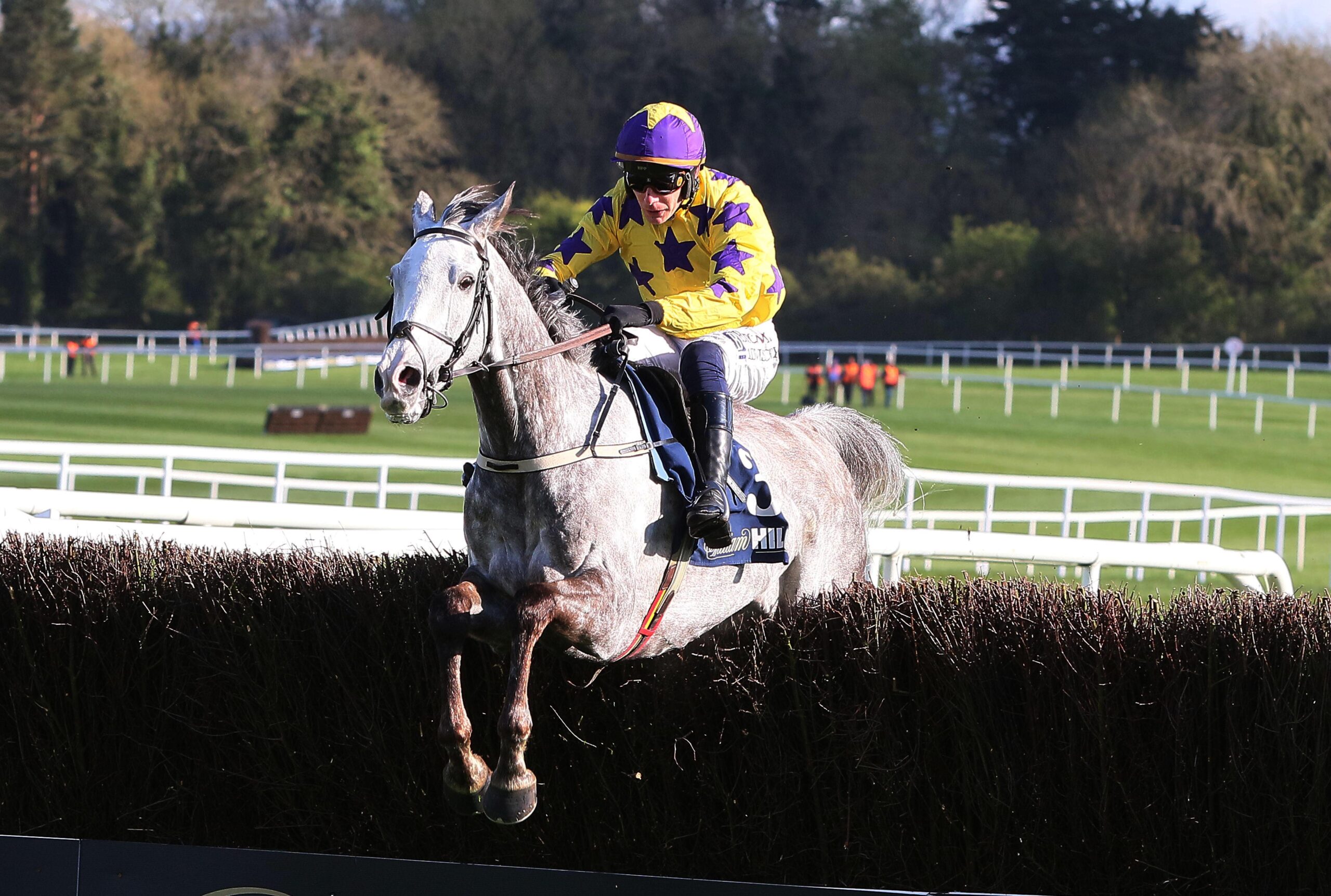 Il Etait Temps William Hill Champion 'chase.