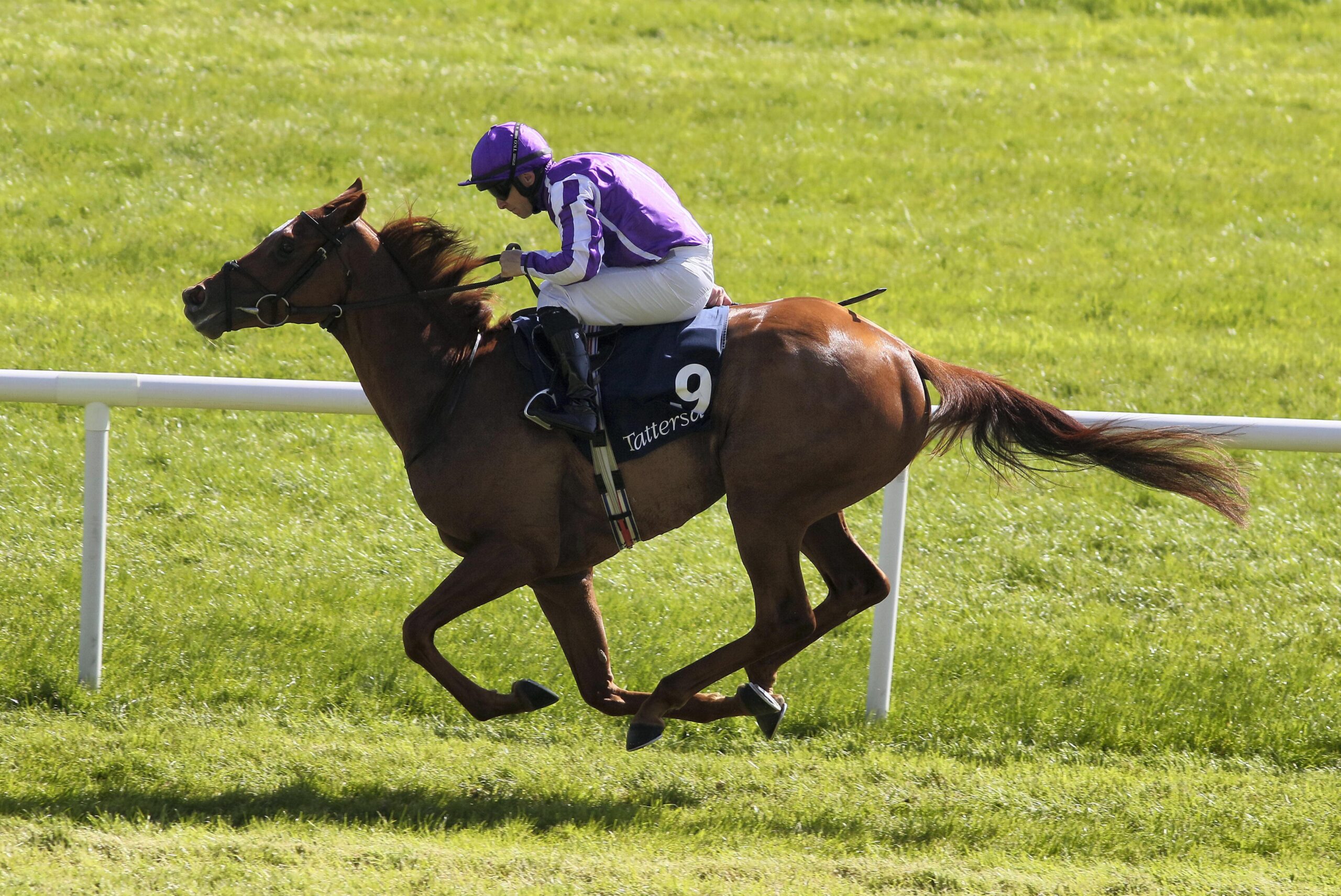 Precise Irish 1,000 Guineas.