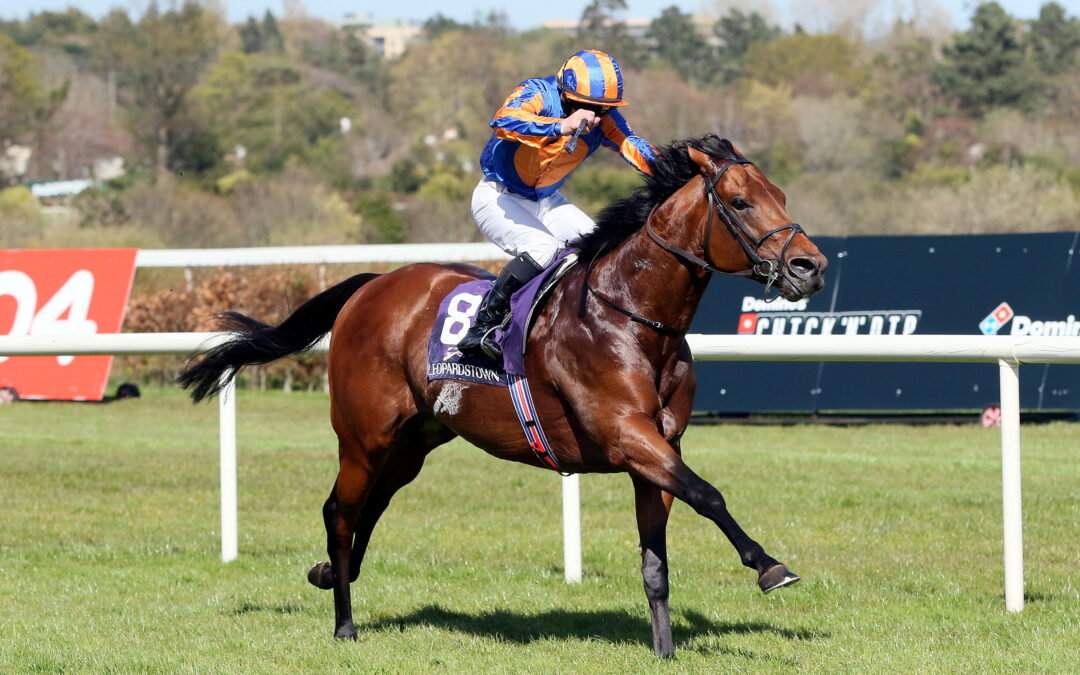Leopardstown 15/04/26