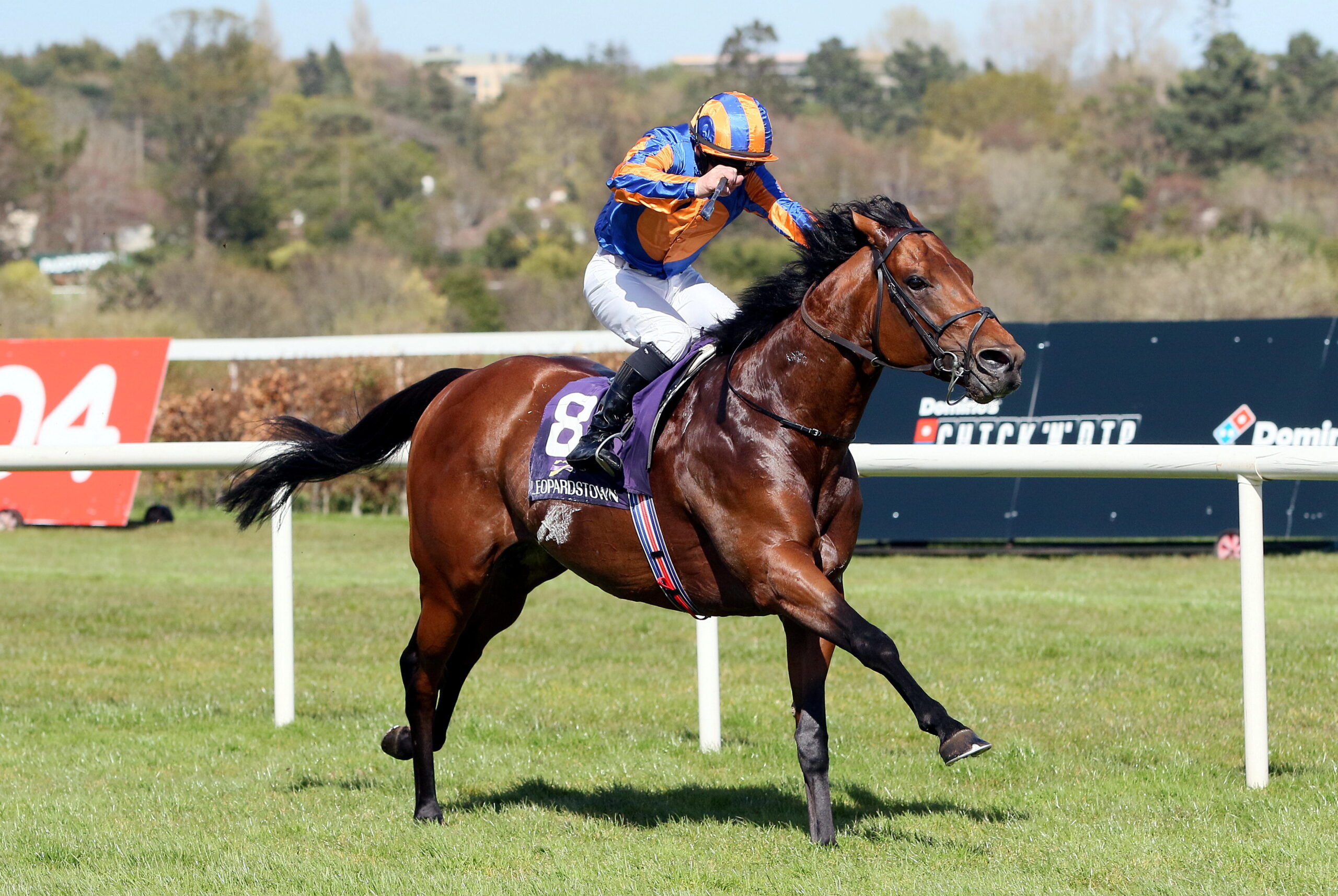 The Lion In Winter Heritage Stakes.