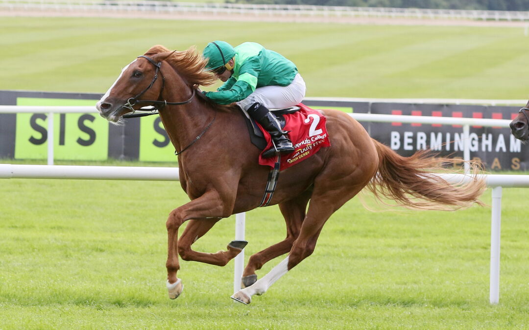 Benvenuto Cellini Irish Derby