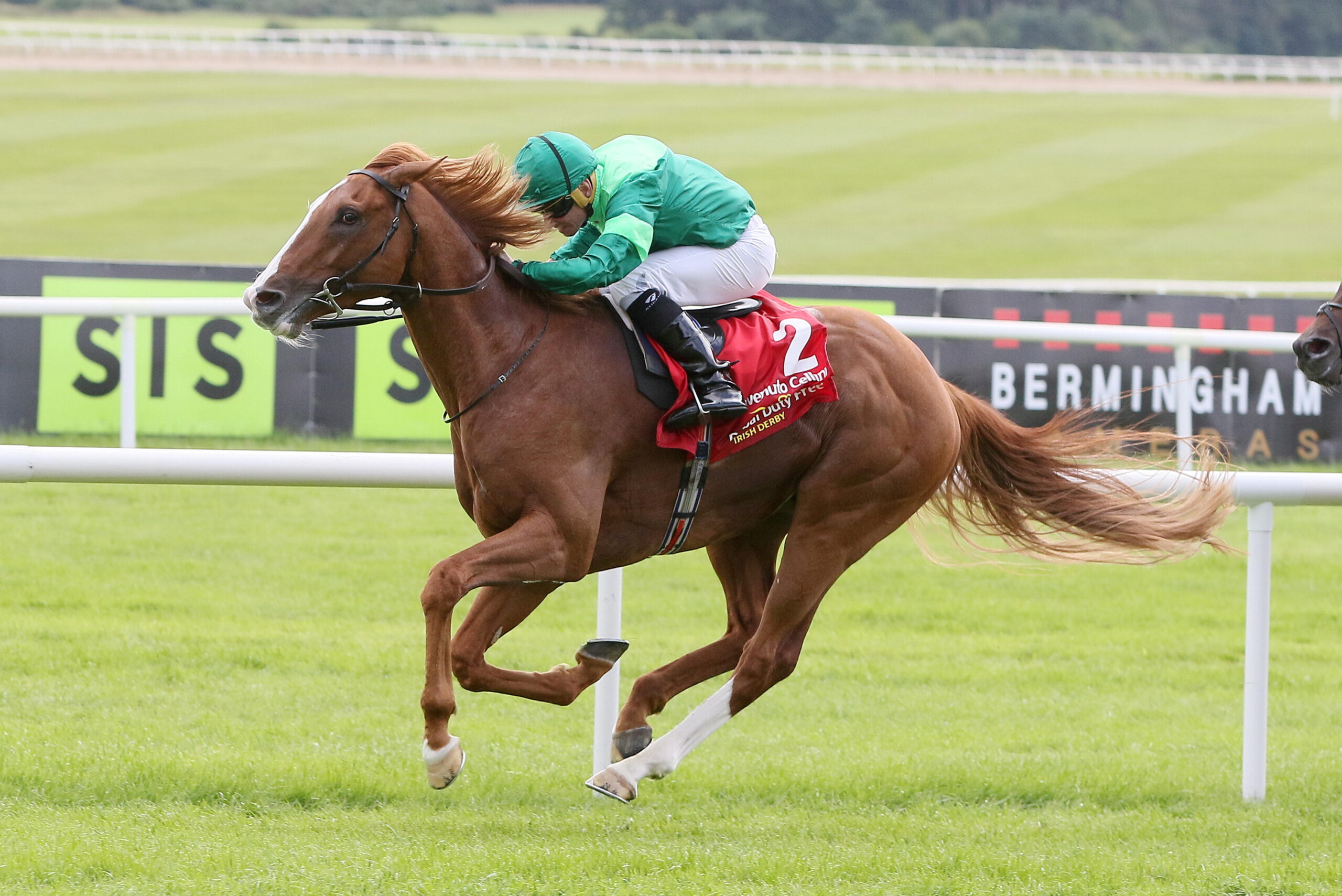 Benvenuto Cellini Irish Derby