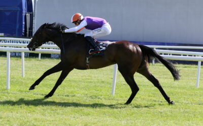 The Curragh 18/07/26