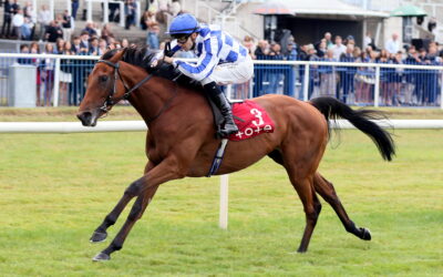 Leopardstown 20/08/26