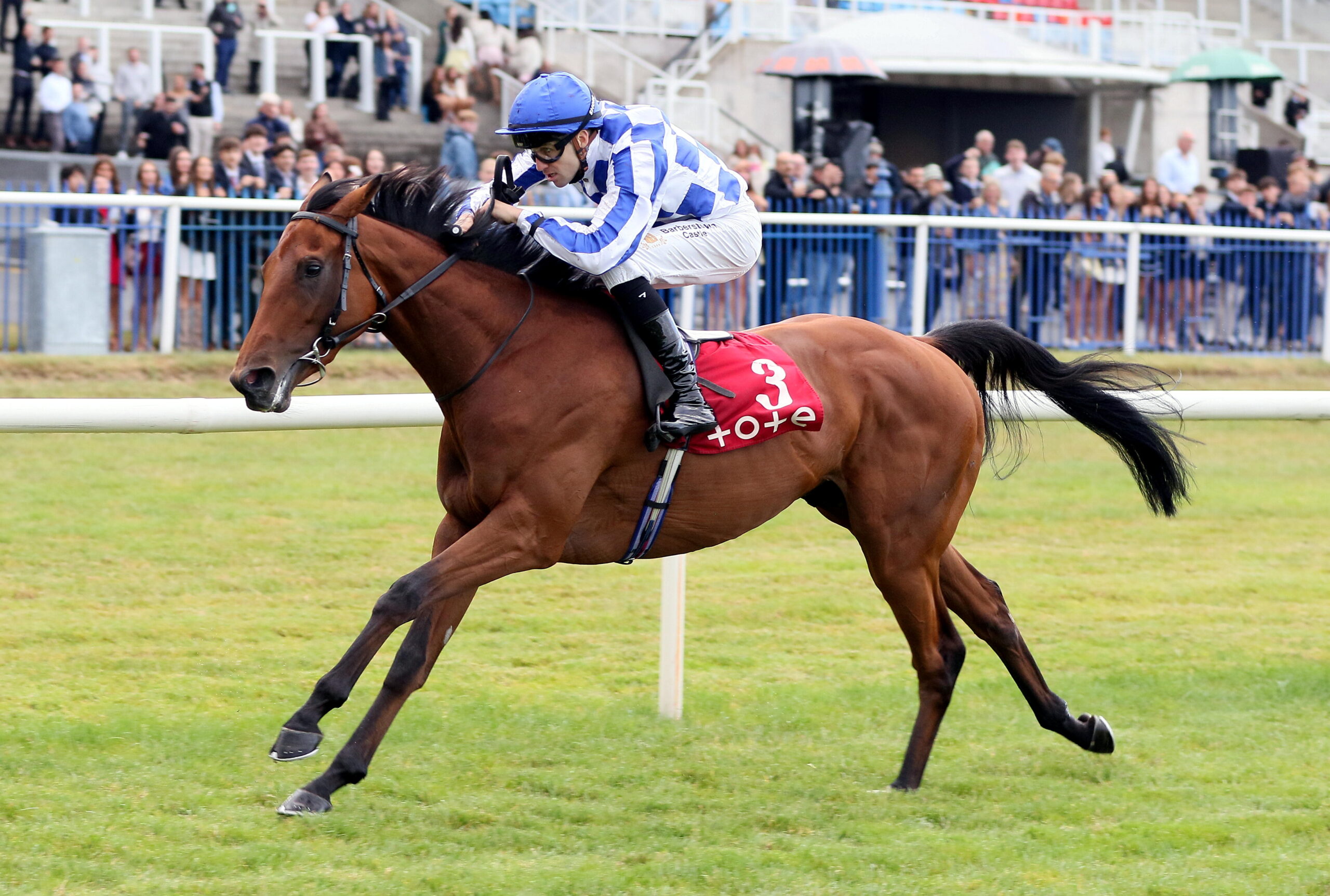 Highwayman Vinnie Roe Stakes.