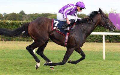 Leopardstown 06/08/26