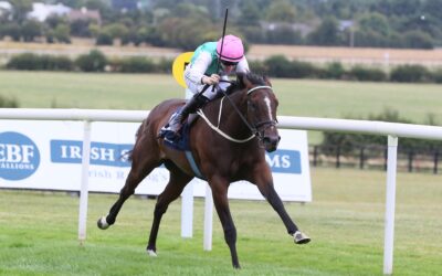 Naas 03/08/26