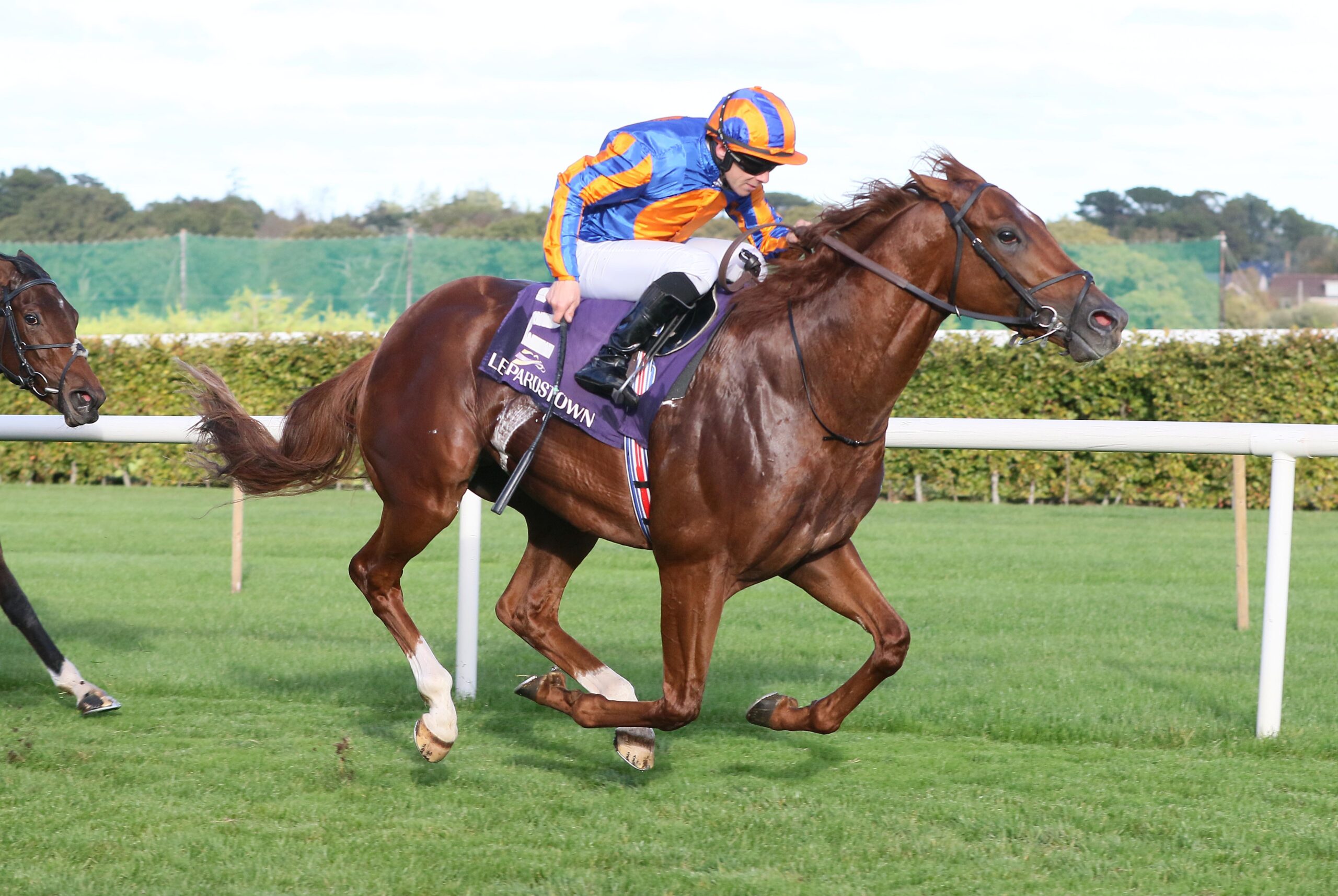 Leopardstown 17/10/26
